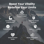 Flynew Shilajit Ultra – 60 Cápsulas